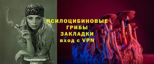 кристаллы Гусь-Хрустальный